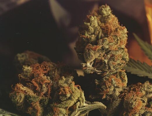 Cannabis Club Südwest e.V.